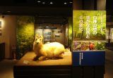 弘前大学資料館第16回企画展「白神山地の豊かな自然とその変化」を開催 弘前大学資料館第16回企画展「白神山地の豊かな自然とその変化」を開催